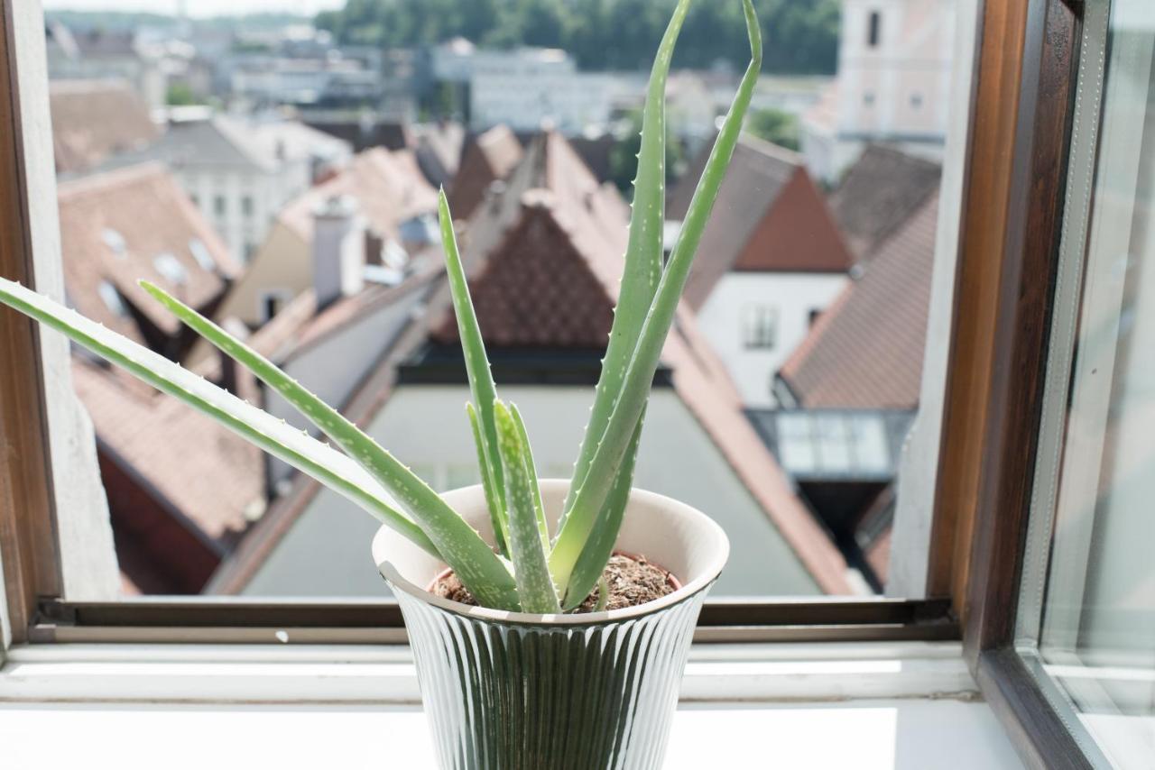 Stadthotel Styria Steyr Eksteriør billede