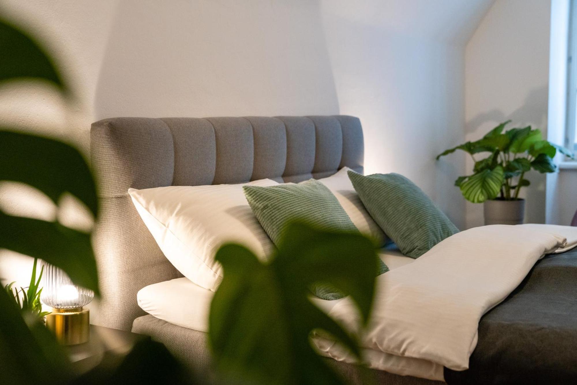 Stadthotel Styria Steyr Eksteriør billede